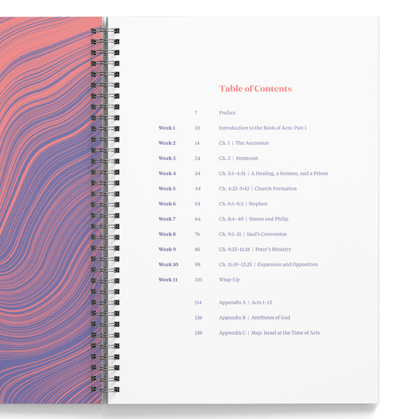 Acts: Part 1 Bible Study