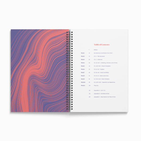 Acts: Part 1 Bible Study