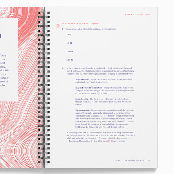 Acts: Part 1 Bible Study