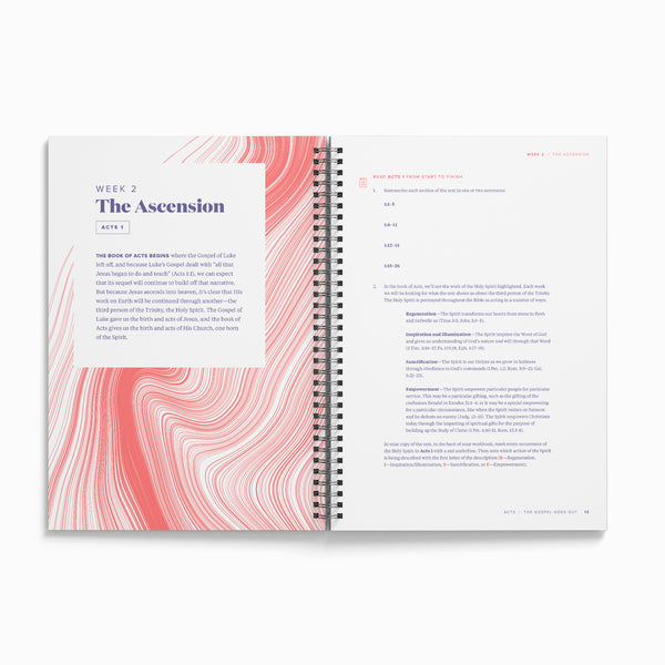 Acts: Part 1 Bible Study